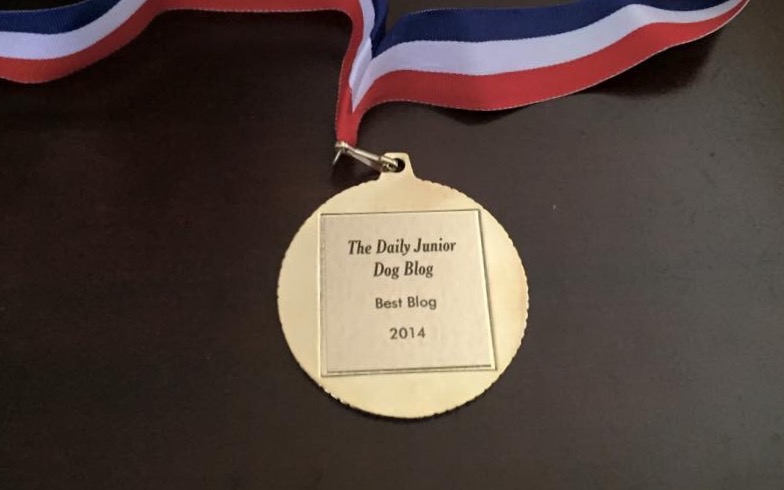 6CC35FBC-9F08-40A8-80DC-25133C81AA66