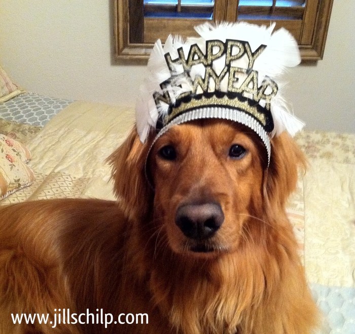 32D80C8F-E992-4F62-9963-96BD5E16AEF6